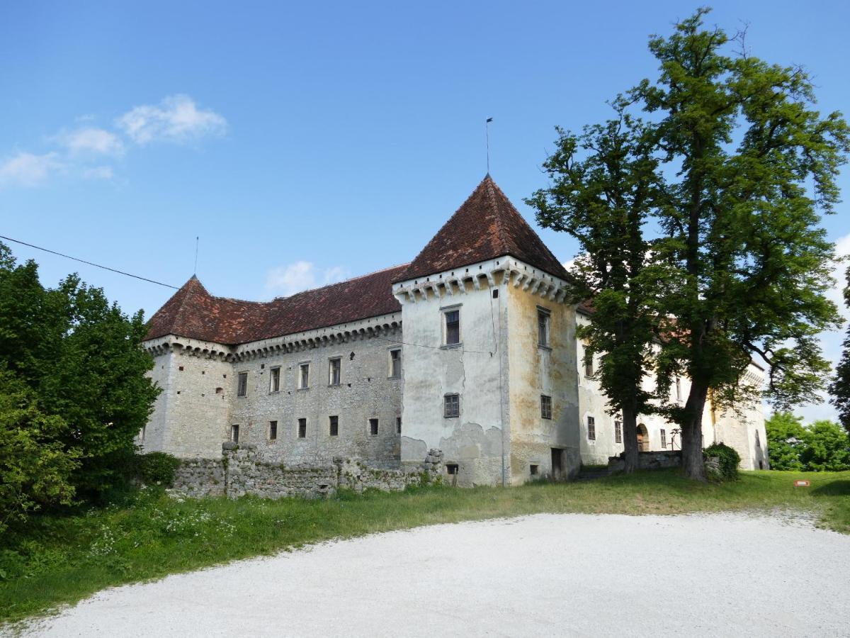 House 1797 - Charm Of Slovenian Vintage Appartement *